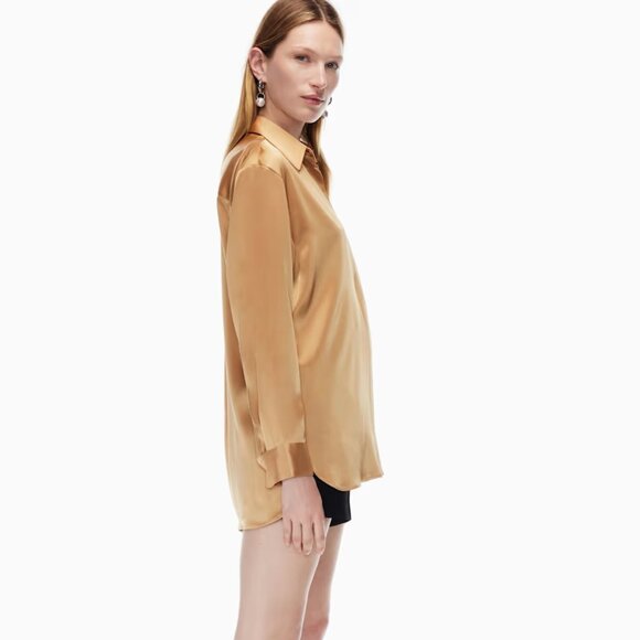 Aritzia Babaton Sable Satin button-up shirt - Picture 3 of 11